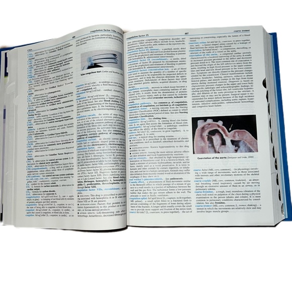 Mosby's Dictionary of Medicine, Nursing and Health Professions Hard Bound 7th Ed - Picture 6 of 11
